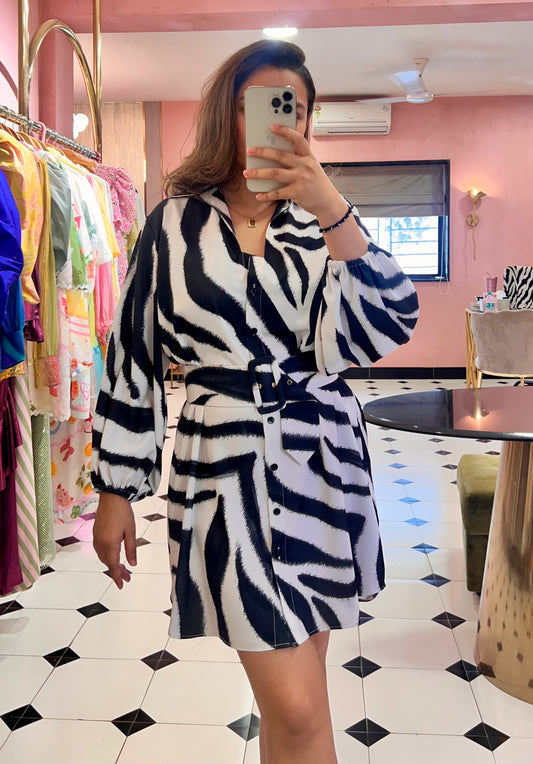 Zebra shirtdress