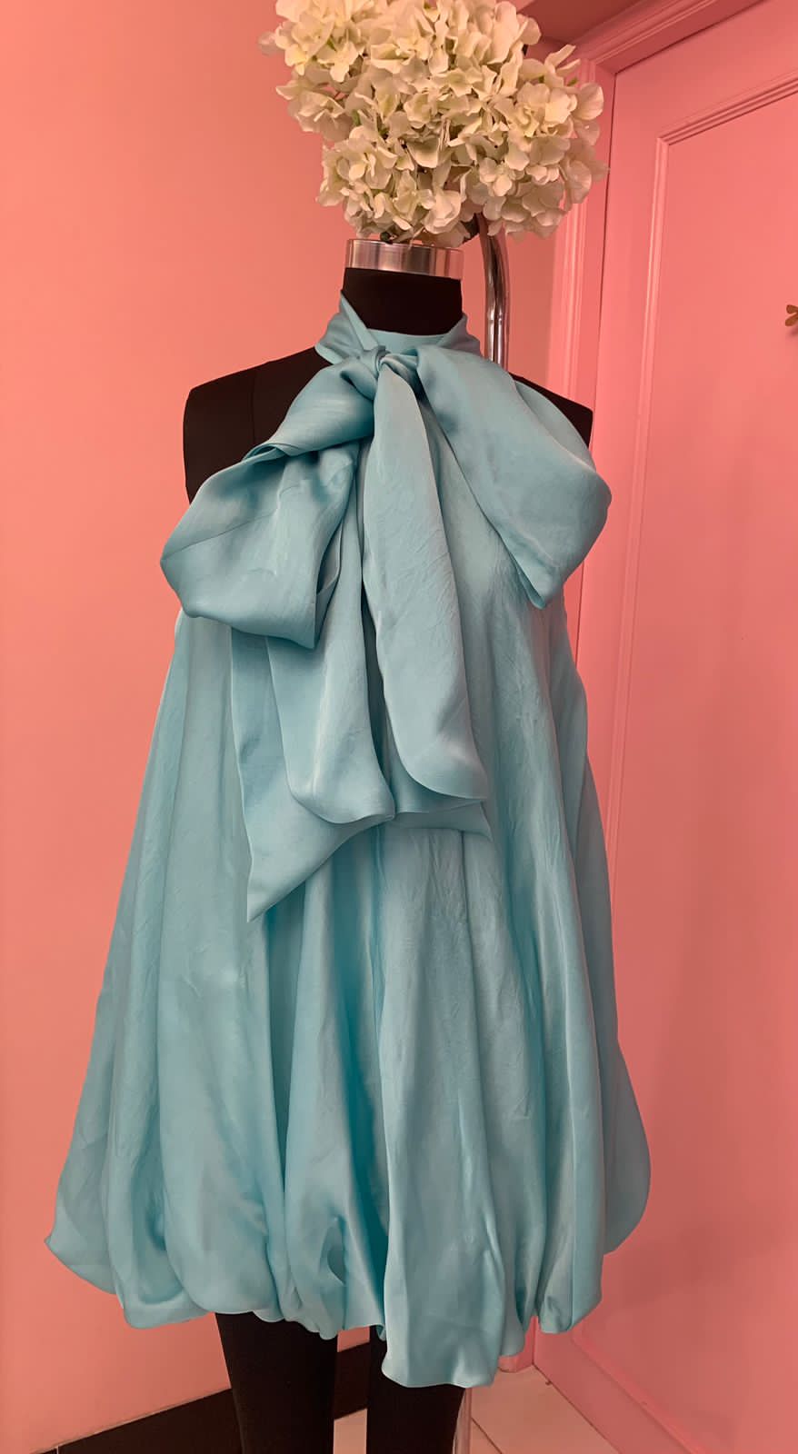 Tulip in teal
