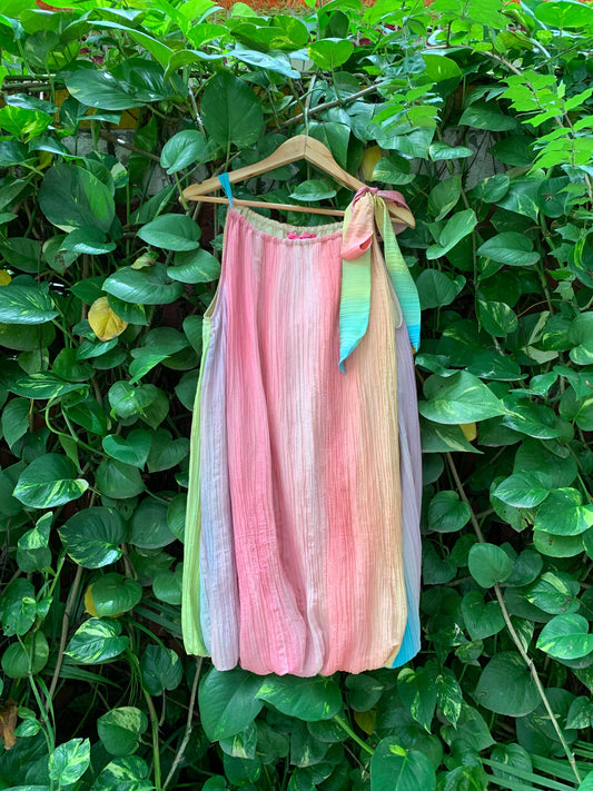 Tulip in Rainbow