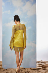 Zoey mesh dress