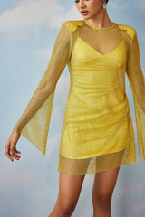 Zoey mesh dress